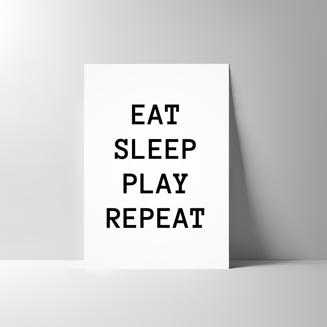 EAT,SLEEP,PLAY,REPEAT POSTER